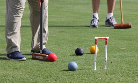 Playing Cricket