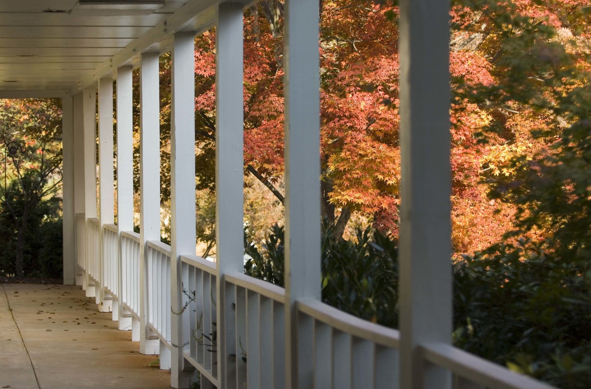 Autumn Porch